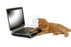 PC - Heimservicemitarbeiter gesucht Kundendatenerfassung -betreuung